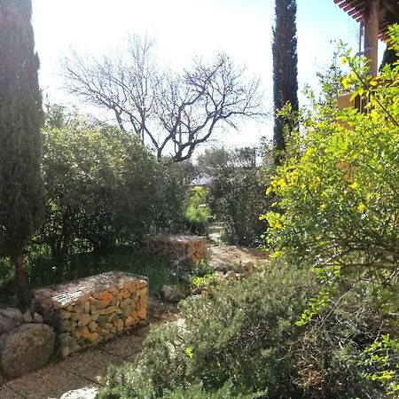 T2 36 M2, Rdc De Villa, Clim, Gd Jardin Clos, Animx Ok, Quartier Mt Faron Tres Calme, Wifi, Parking Tolón Exterior foto