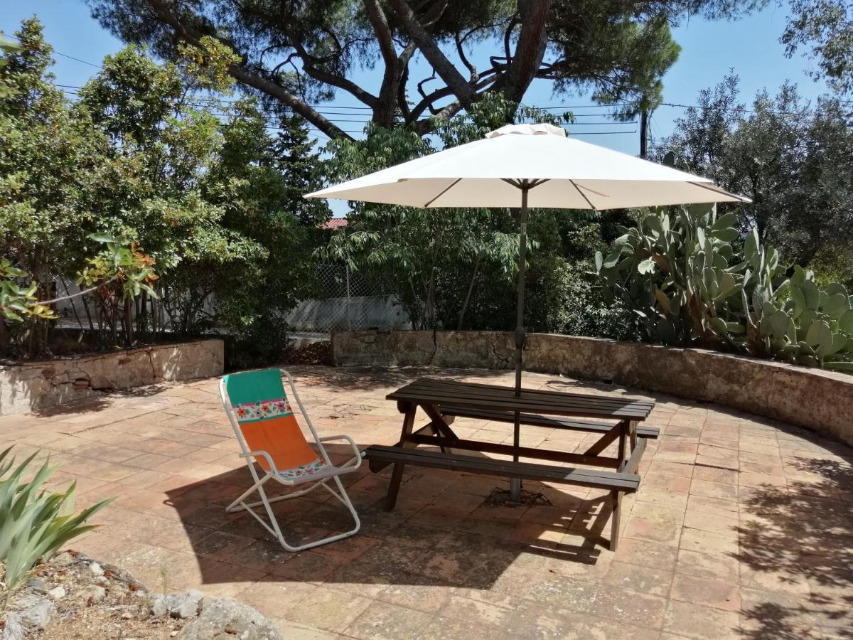 T2 36 M2, Rdc De Villa, Clim, Gd Jardin Clos, Animx Ok, Quartier Mt Faron Tres Calme, Wifi, Parking Tolón Exterior foto