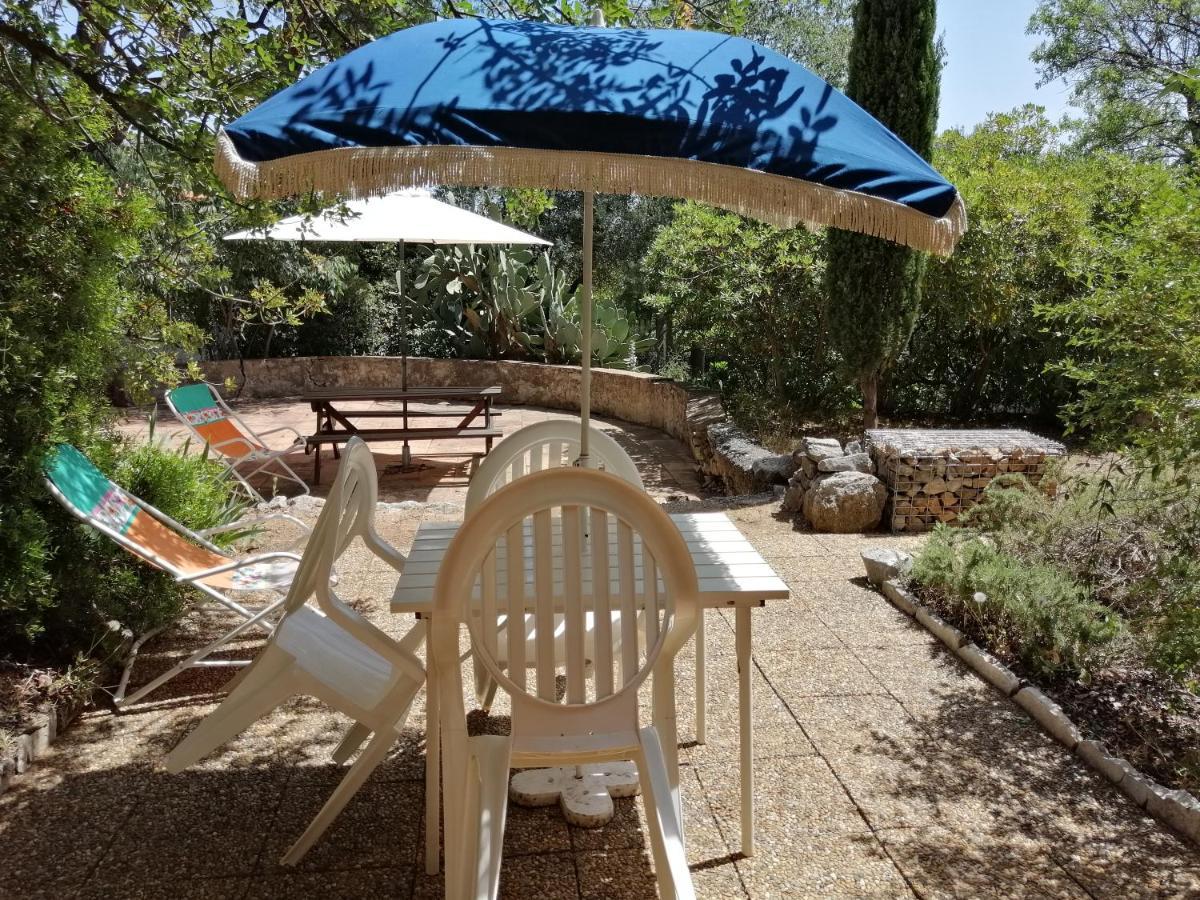 T2 36 M2, Rdc De Villa, Clim, Gd Jardin Clos, Animx Ok, Quartier Mt Faron Tres Calme, Wifi, Parking Tolón Exterior foto